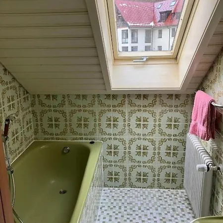 Fw1 Grosse Ferien- Im Gaestehaus Lickert Oberzarten Ap1 Apartman *