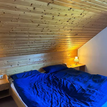 Fw1 Grosse Ferien- Im Gaestehaus Lickert Oberzarten Ap1 *
