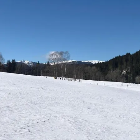 Fw1 Grosse Ferien- Im Gaestehaus Lickert Oberzarten Ap1 Apartman Hinterzarten