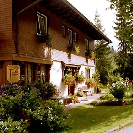 Fw1 Grosse Ferien- Im Gaestehaus Lickert Oberzarten Ap1 Apartman Hinterzarten