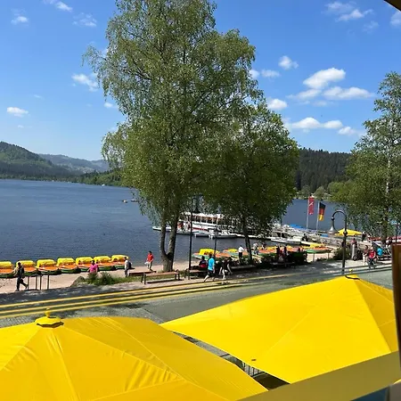 Fw1 Grosse Ferien- Im Gaestehaus Lickert Oberzarten Ap1 *